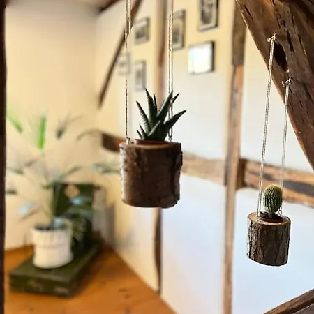 Fachwerkhaus Am Waldesrand