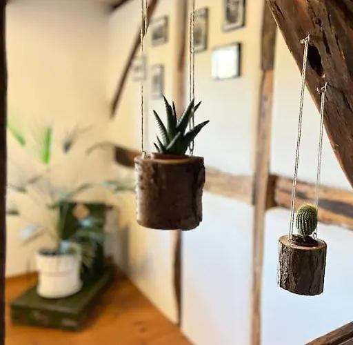 Fachwerkhaus Am Waldesrand